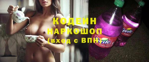 крисы Бородино
