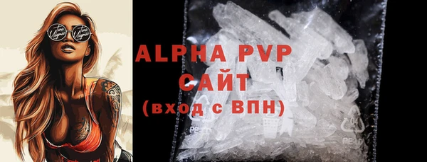 крисы Бородино