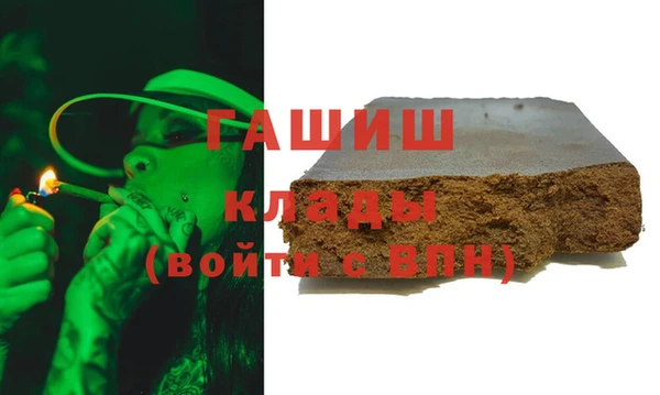 крисы Бородино