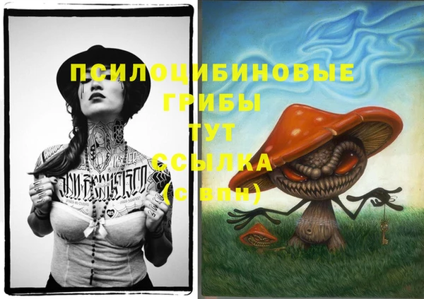 тгк Бугульма