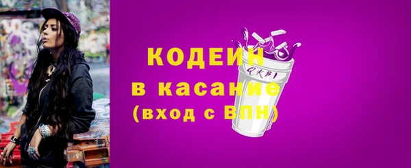 крисы Бородино