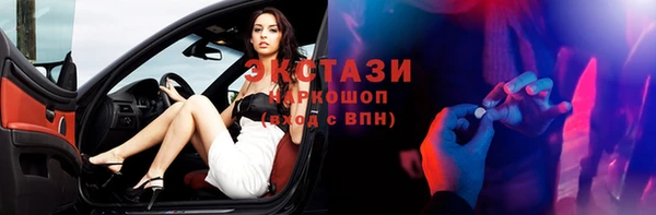 крисы Бородино