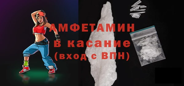 крисы Бородино