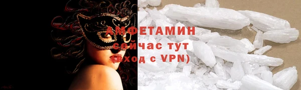 крисы Бородино