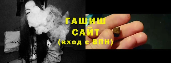 крисы Бородино
