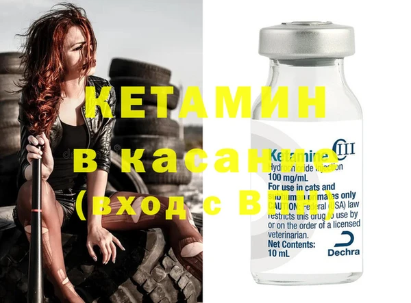крисы Бородино