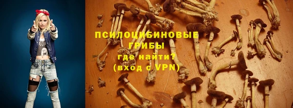 крисы Бородино