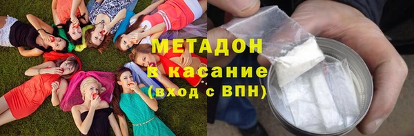 крисы Бородино