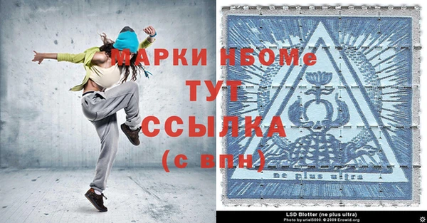 крисы Бородино