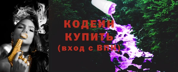 крисы Бородино