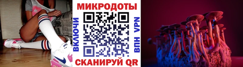 хочу   Гуково  Псилоцибиновые грибы Psilocybe 
